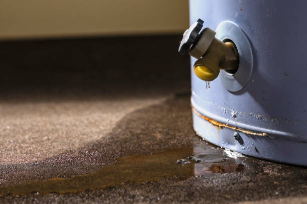 Best Ceiling water damage repair  in Gresham, OR