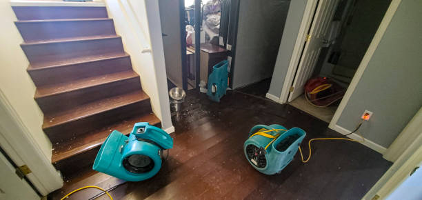 Best Water damage restoration cost  in Gresham, OR