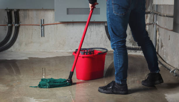 Best Water damage restoration services  in Gresham, OR