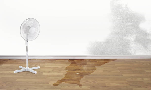 Trusted Gresham, OR Water damage restoration Experts