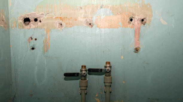 Best Water damage cleanup near me  in Gresham, OR