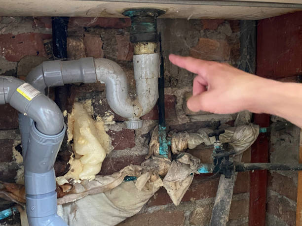 Best 24-hour water damage restoration  in Gresham, OR