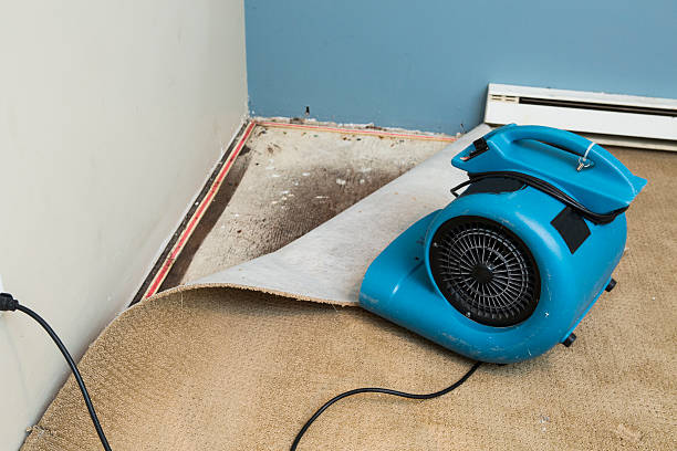 Best Residential water damage restoration  in Gresham, OR